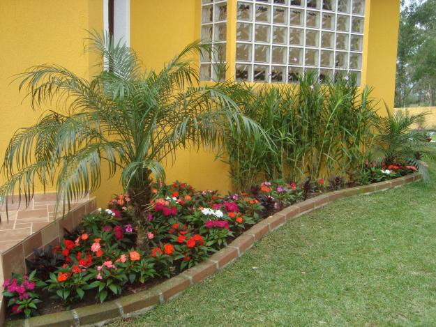 Decoração botânica para interiores e exteriores